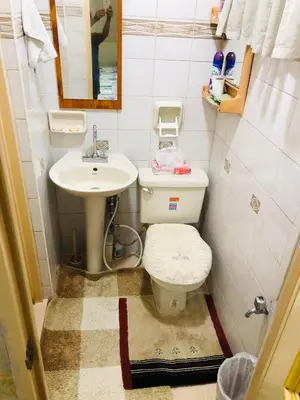 a small bathroom with a toilet and a sink at THE MANSION - 20 PAX LUXURY Near AIRPORT in PASAY in Manila