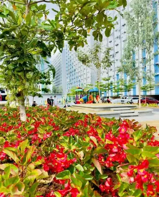a garden of red flowers in a park at Pandora's Nest in Manila