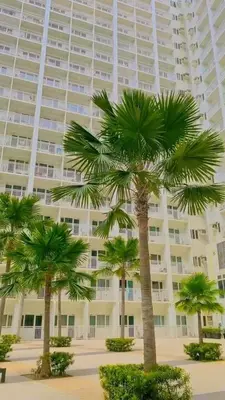 a large building with palm trees in front of it at Shore Residence D2 - shortwalk Mall of Asia Near Airport in Manila