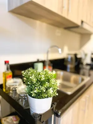 a potted plant sitting on a counter in a kitchen at 1 Bedroom Condo near CCP Roxas Boulevard Pasay in Manila