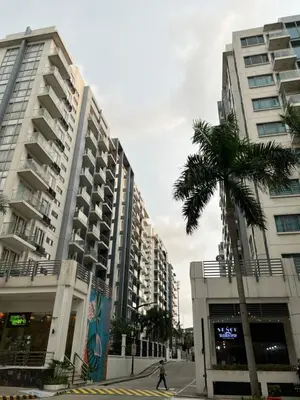 a palm tree in front of some tall buildings at 2 Palm Tree Villas - Manila Terminal 3 Airport Pasay in Manila