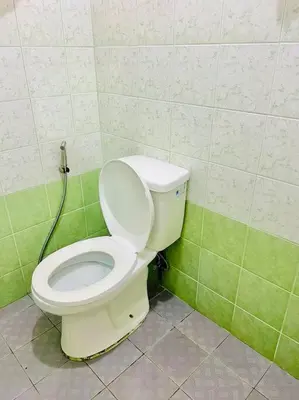 a bathroom with a toilet in a green and white wall at Awesome 2 bedrooms, living & dining area in General Trias