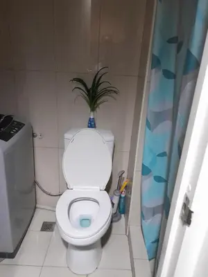 a bathroom with a toilet with a plant on top of it at Jam Staycation at Shell Residences in Manila