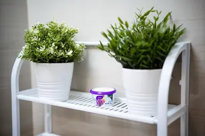 two potted plants sitting on a white shelf at Tatet Staycation Short Walk to SM MOA in Manila