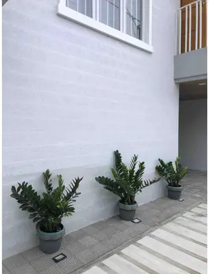 three potted plants sitting next to a building at Family Friendly Cozy Village Stay Sta Rosa Belair in Santa Rosa