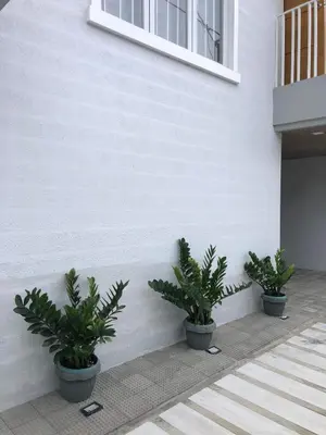 three potted plants sitting next to a building at Family Friendly Cozy Village Stay Sta Rosa Belair in Santa Rosa