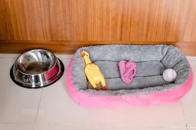 a toy dog bed with a ball and a bowl at Stylish loft, 65 in UHDTV w Fast WiFi + Pool & Gym in Manila