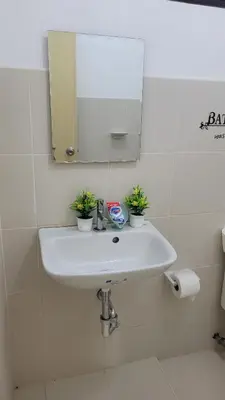 a bathroom sink with a mirror and two plants on it at Camilyn Home Stay in General Trias