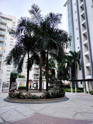 a palm tree in a courtyard in a city at Room Across Naia Terminal 3 by Rqui in Manila