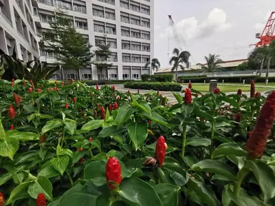 a garden of red flowers in front of a building at Love@Grace Residences near BGC. in Manila