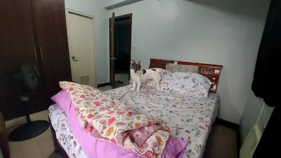 a cat standing on top of a bed at 1 Br Near Naia T3/Resorts World in Manila