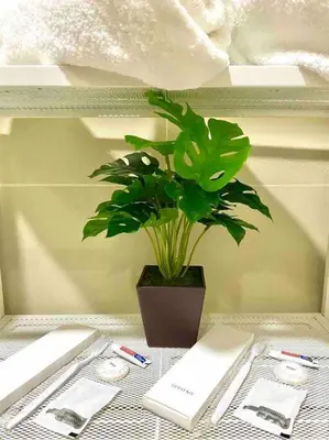 a table with a book and a potted plant on it at Modern 1-BR Condo Unit in Manila