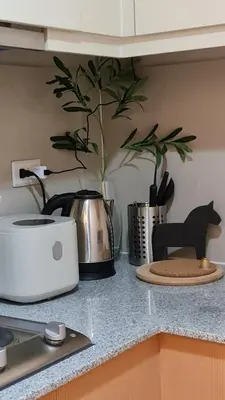a kitchen counter top with a toaster and a plant at Luxe Bonifacio Global City Taguig Uptown Condo Hotel 1 BR Suite in Manila